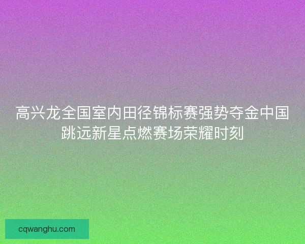 高兴龙全国室内田径锦标赛强势夺金中国跳远新星点燃赛场荣耀时刻