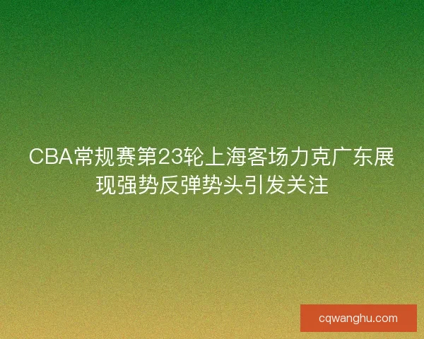 CBA常规赛第23轮上海客场力克广东展现强势反弹势头引发关注