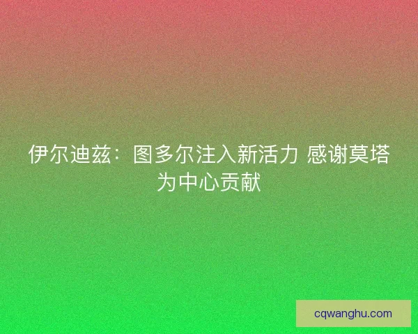 伊尔迪兹：图多尔注入新活力 感谢莫塔为中心贡献