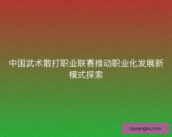 中国武术散打职业联赛推动职业化发展新模式探索